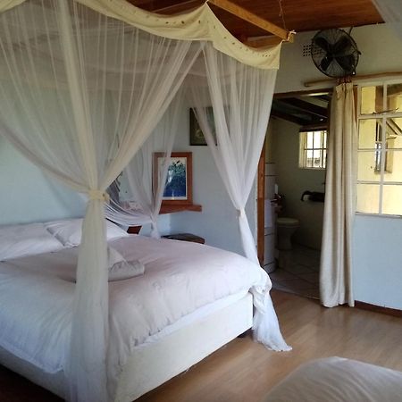 Bushwhacked Barberton Hotel Cameră foto