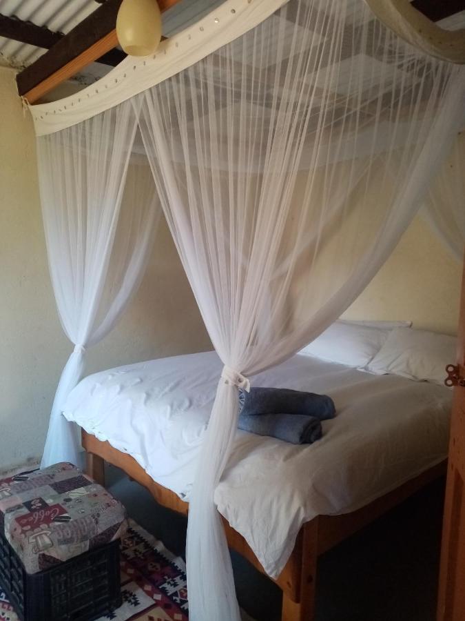 Bushwhacked Barberton Hotel Exterior foto