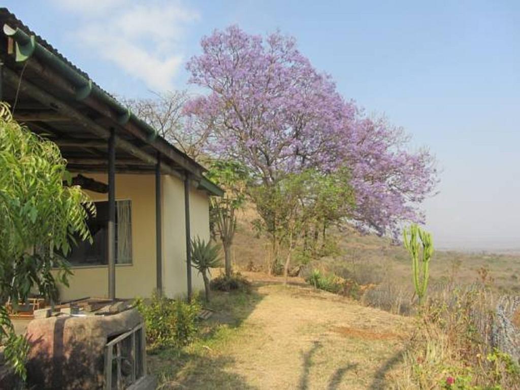 Bushwhacked Barberton Hotel Exterior foto
